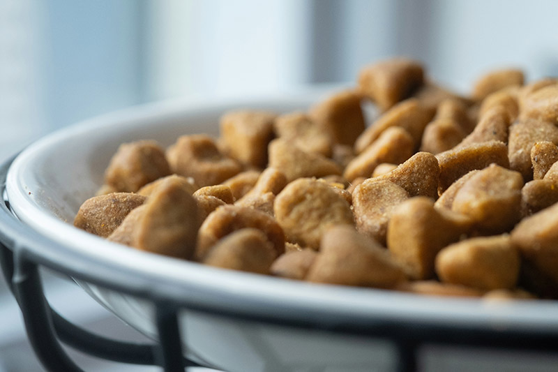 A bowl of pet food